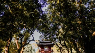 Signature Vietnam | In Fabric & Folklore