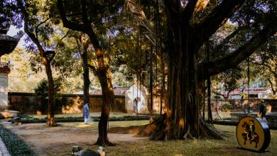 Signature Vietnam | In Fabric & Folklore