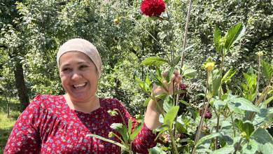 Highlights of Central Asia