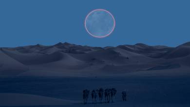 Discover North Morocco & Chefchaouen – Total Eclipse