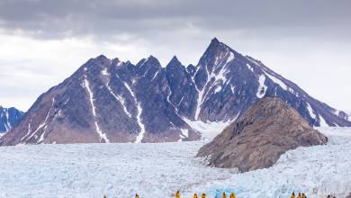 Svalbard in Summer: Tundra, Whales and Wildlife