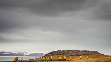 Svalbard in Summer: Tundra, Whales and Wildlife