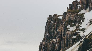 Svalbard in Summer: Tundra, Whales and Wildlife