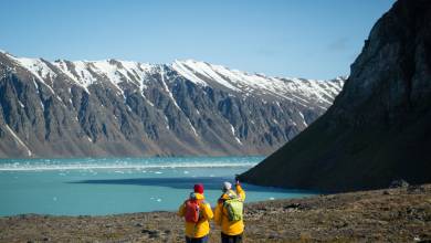 Svalbard in Summer: Tundra, Whales and Wildlife