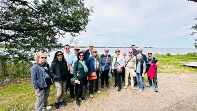 Discover the Baltics