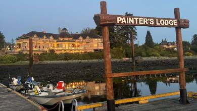 Whales & Bears of British Columbia