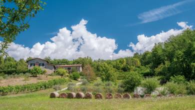 Walking Northern Tuscany