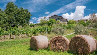 Walking Northern Tuscany