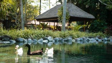 Cycling Indonesia’s Islands