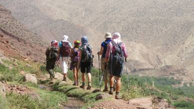 Discover Marrakech & the Sahara