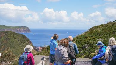 Walking in the Azores