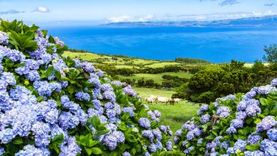 Walking in the Azores