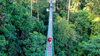 Borneo Wildlife Discoverer