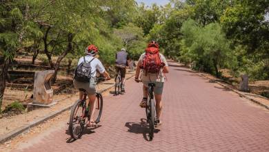 Sri Lankan Highlights