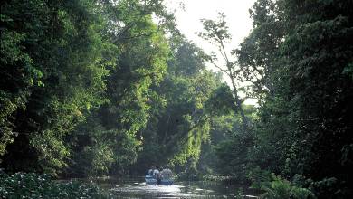 Borneo Wildlife Discoverer