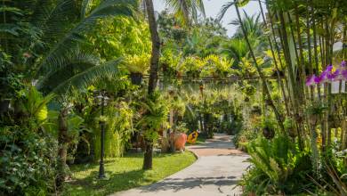 Thailand Family Adventure