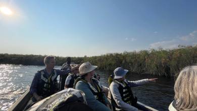 Botswana & Namibia: Delta & Dunes