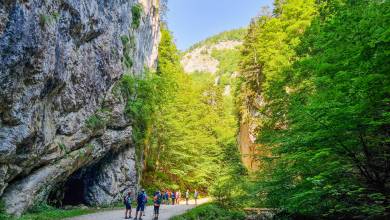 Carpathian Walking & Bears