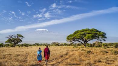 Kenya Safari Adventure