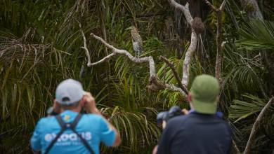 Discover Costa Rica – Coastal Edition