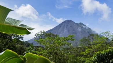 Signature Costa Rica | Where the Wild Answers