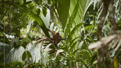 Costa Rica Coast to Coast Ride