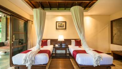 Primates & Dragons of Indonesia