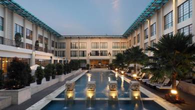 Primates & Dragons of Indonesia