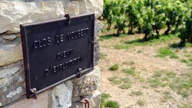 Discover Burgundy & Alsace – Premium Adventure