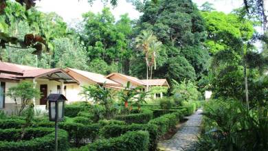 Primates & Dragons of Indonesia