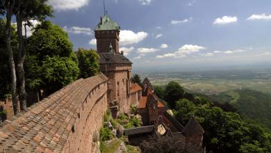 Discover Burgundy & Alsace – Premium Adventure