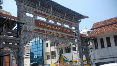 Primates & Dragons of Indonesia