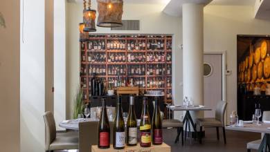 Discover Burgundy & Alsace – Premium Adventure