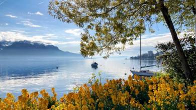 Discover Switzerland by Rail