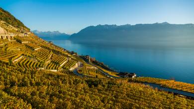 Discover Switzerland by Rail