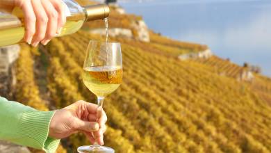 Discover Switzerland by Rail