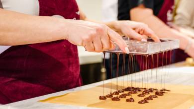 Discover Switzerland by Rail