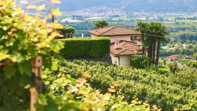 Discover Switzerland by Rail