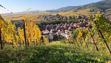 Discover Burgundy & Alsace – Premium Adventure