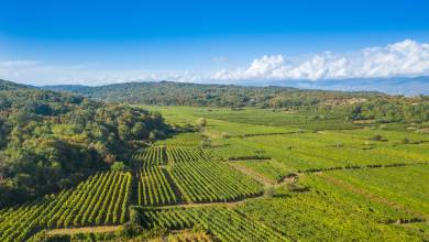 Walking North Croatia’s Islands & Lakes