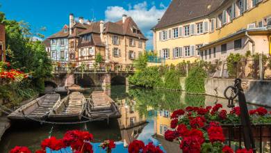 Discover Burgundy & Alsace – Premium Adventure