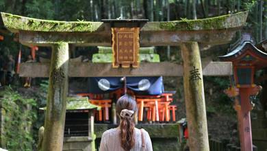 Signature Japan | Through Temples & Time