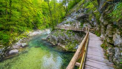 Walking the Slovenian Alps