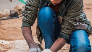 Signature Jordan | Stars and Desert Sands