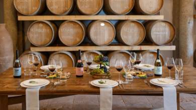 Signature Portugal | Among the Whitewashed Hills