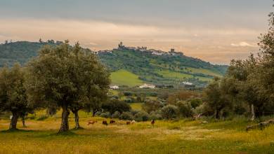 Signature Portugal | Among the Whitewashed Hills