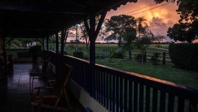 Brazil Wildlife Adventure