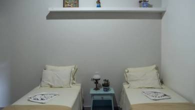 Brazil Wildlife Adventure