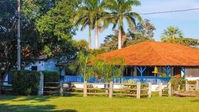 Brazil Wildlife Adventure