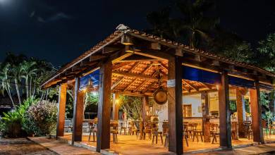 Brazil Wildlife Adventure